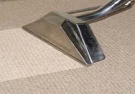  steam carpet cleaning