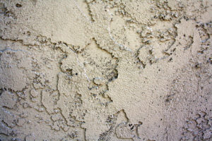 soil