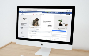 Social media as an e-commerce