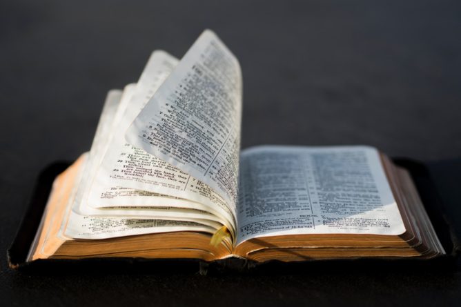 pages